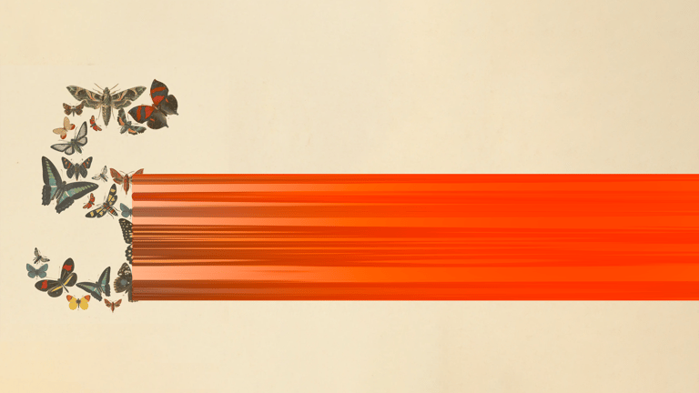 Anthropic’s Fable 5 is out. What to do now?