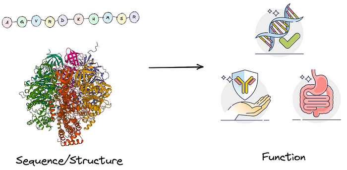 Function structure sequence