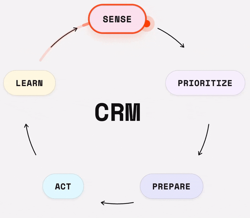 CEM_LOOP 1 (1)