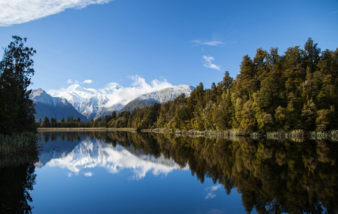 Reflexion is all you need? 