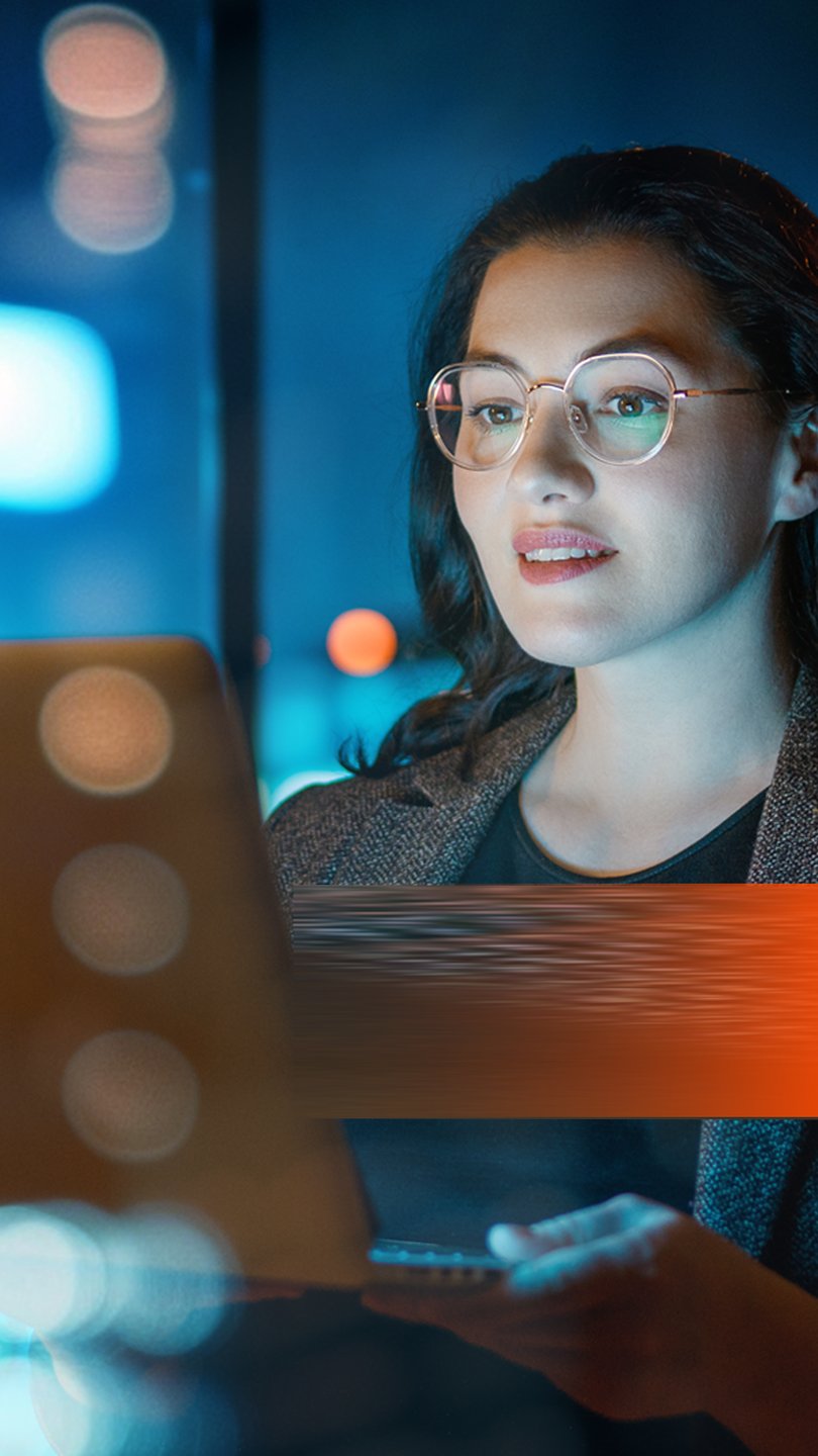 WOMEN WITH A LAPTOP 2