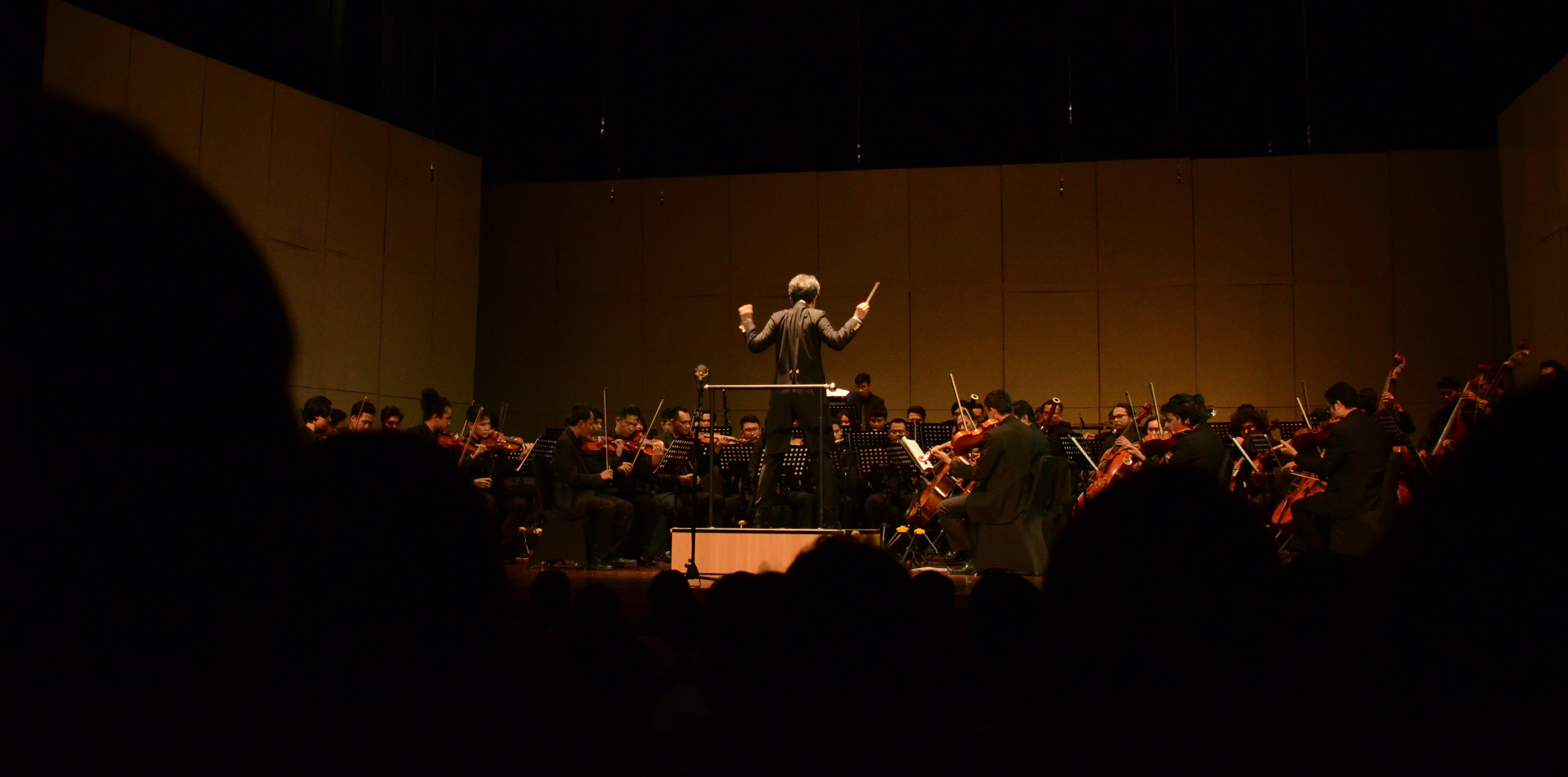 conductor-orchestra-pencari-angin-nnS5adiX5mA-unsplash