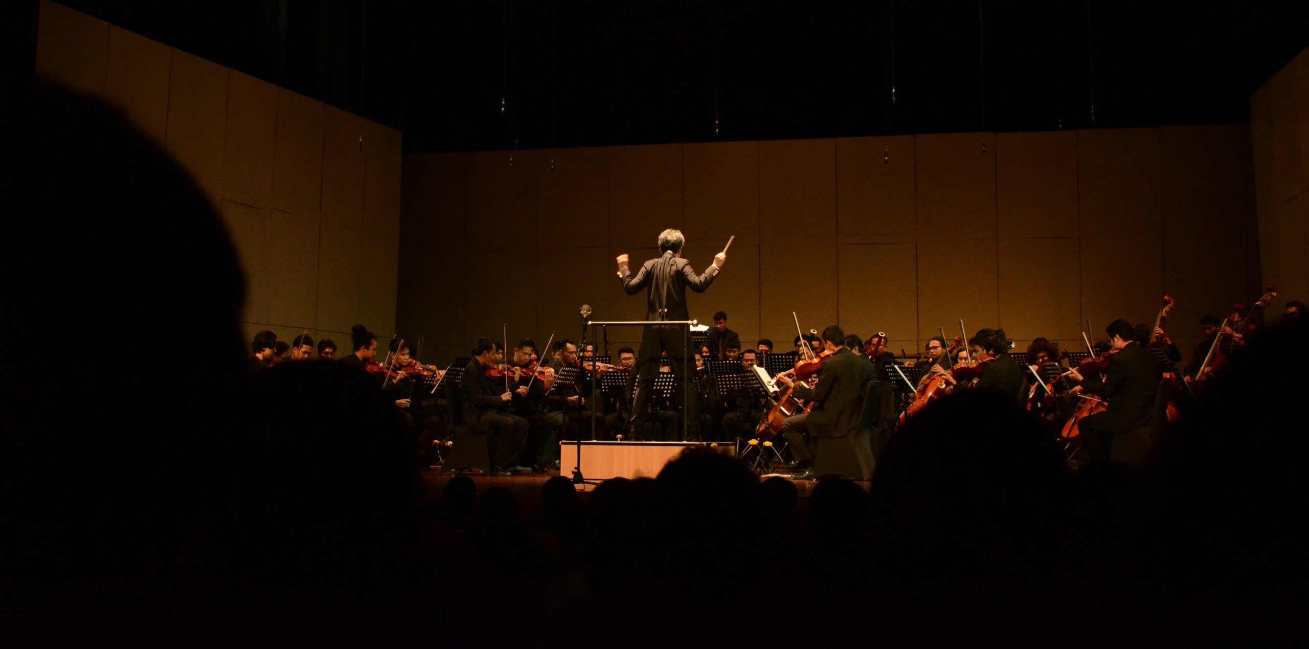 conductor-orchestra-pencari-angin-nnS5adiX5mA-unsplash