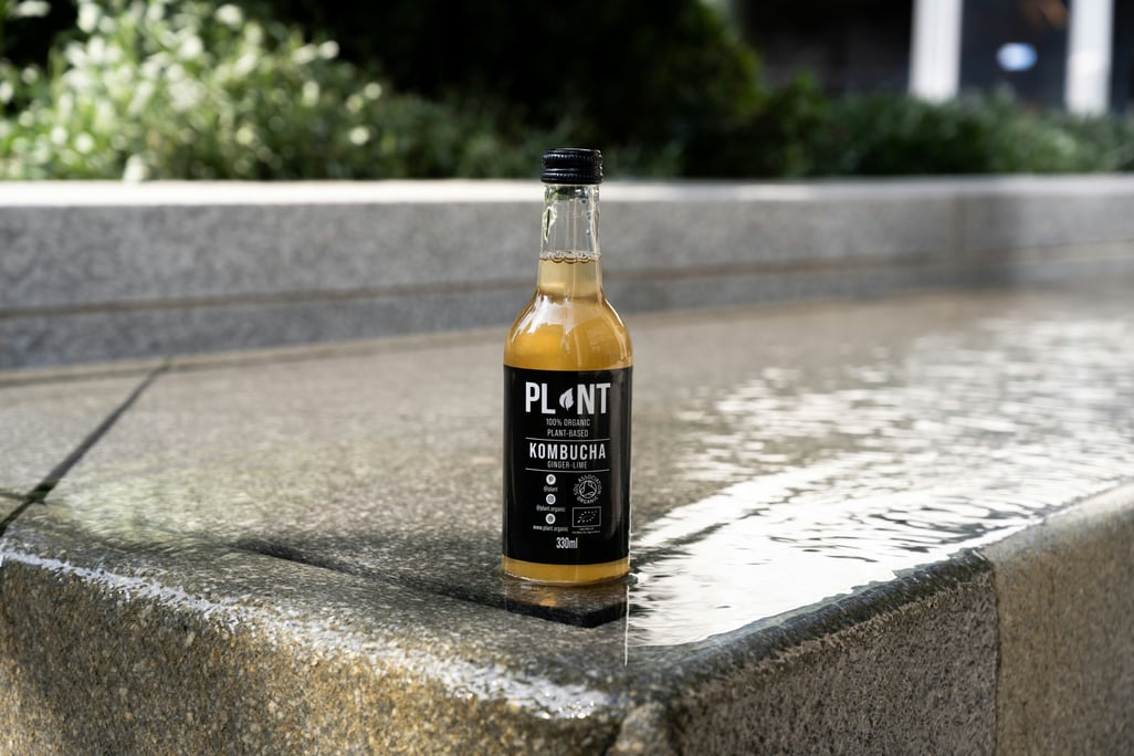 plant-rdydcCeda28-unsplash