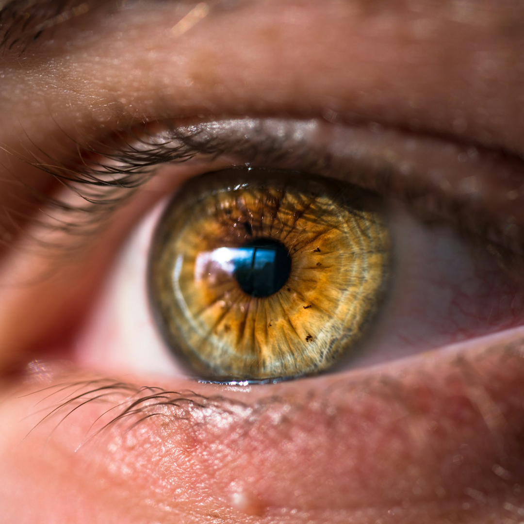 Eye. Photo by Joel Staveley on Unsplash