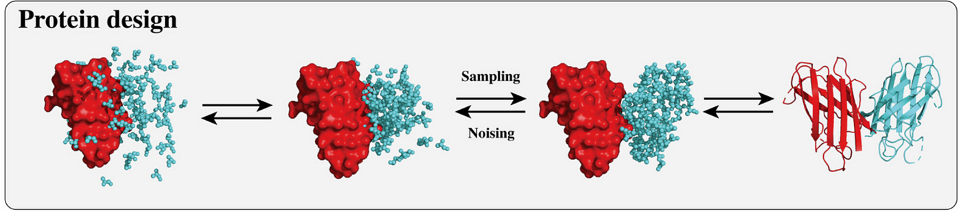 An example protein diffusion process.