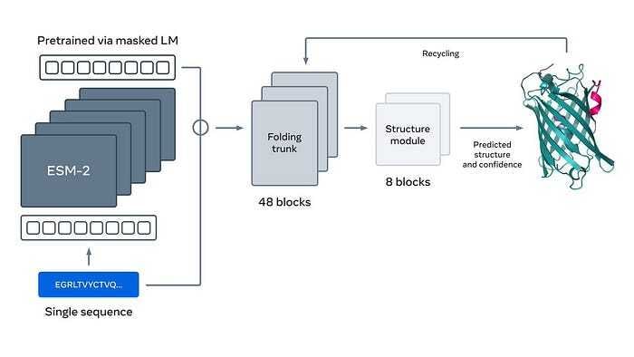 Architecture from ESMFold of Meta
