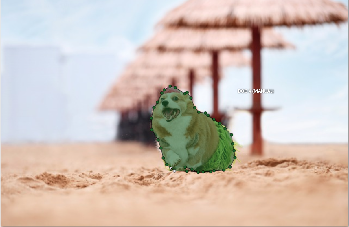 Example dog on beach with green overlay and environment