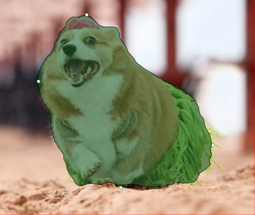 Example dog on beach with green overlay