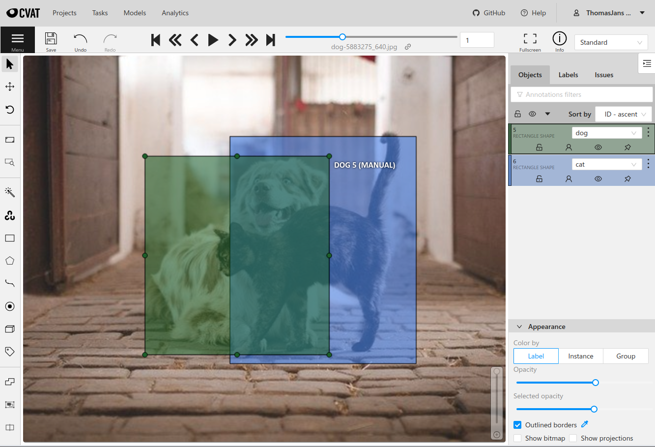 Example labeling interface cat and dog with rectangle overlay