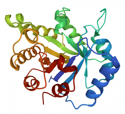 Example of a protein fold