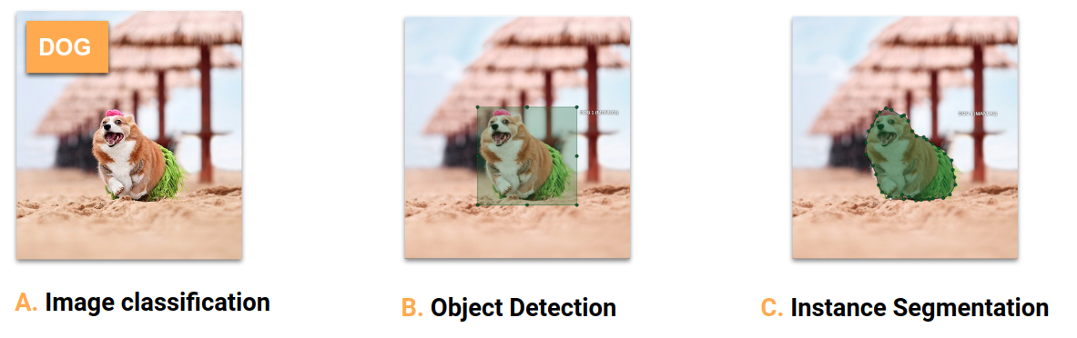 Illustration 3 dogs computer vision