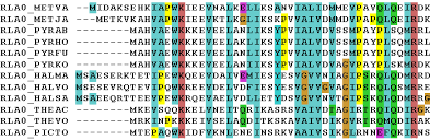 MSAs: aligning sequences together pairwise on the basis of similar regions with in them.