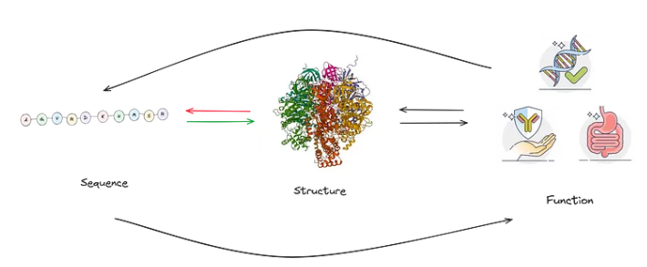 Sequential, Structural and Function representations, as from our previous blogpost
