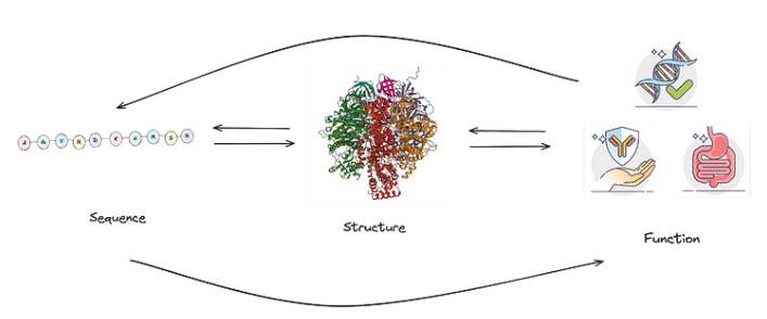 Protein Design Interactions