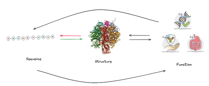 Protein Design Interactions