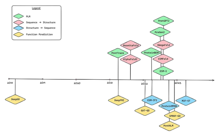 Recent Timeline of Protein-related Models
