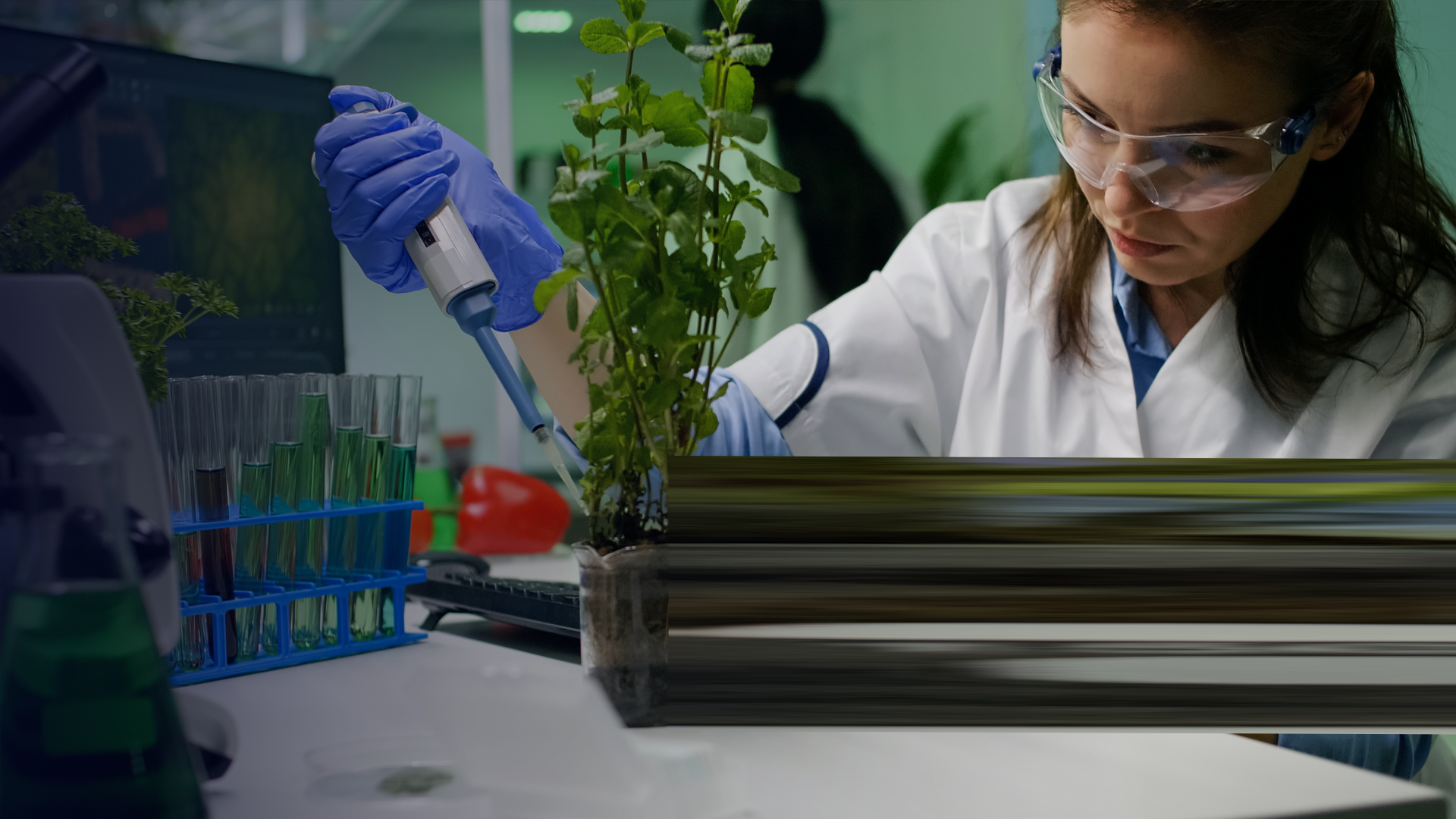 syngenta_Biochemist scientific taking green liquid with micropieptte puttin on sapling By DC_Studio_2_envato